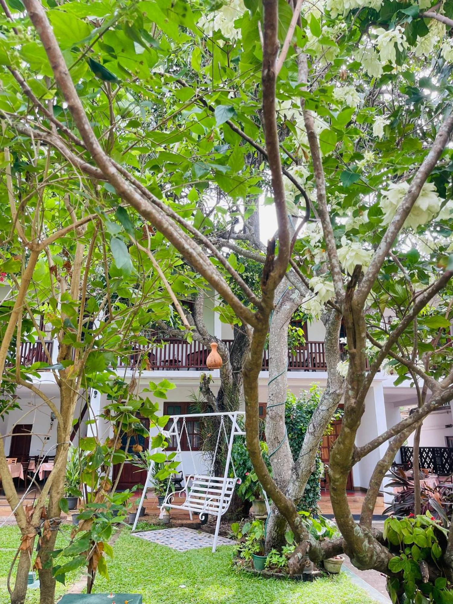 Little Paradise Tourist Guest House And Holiday Home Anuradhapura Zewnętrze zdjęcie
