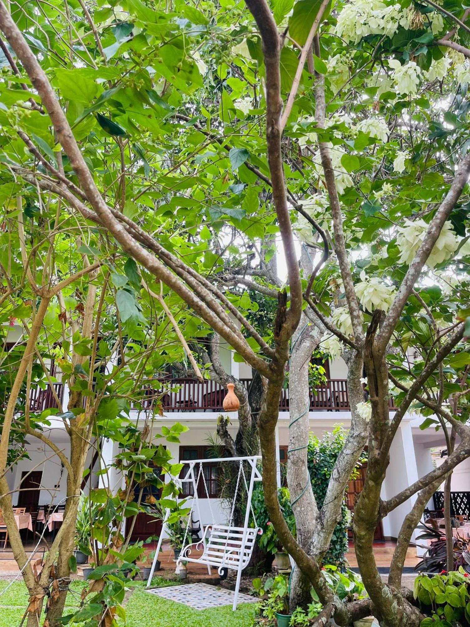Little Paradise Tourist Guest House And Holiday Home Anuradhapura Zewnętrze zdjęcie