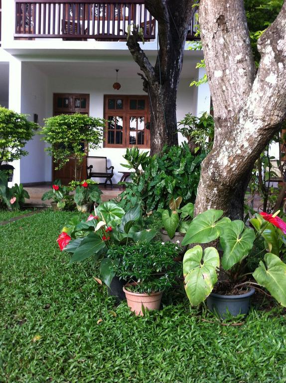 Little Paradise Tourist Guest House And Holiday Home Anuradhapura Zewnętrze zdjęcie